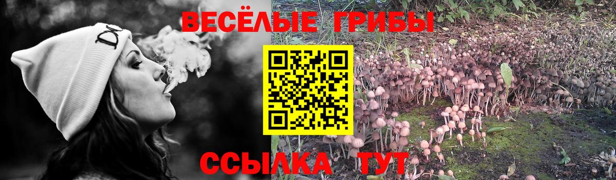 где купить   Псилоцибиновые грибы Magic Shrooms  Вход с VPN  Серпухов 